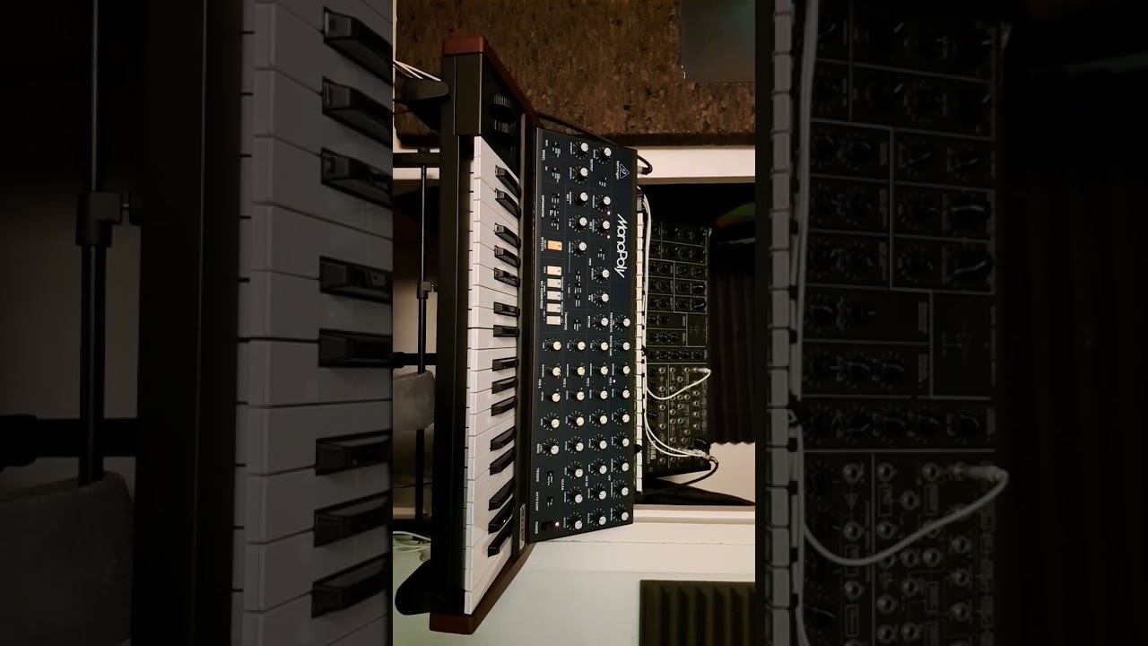 @behringer #monopoly arpeggio
