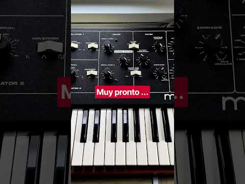 Pronto en el canal…@MoogSynthesizers #prodigy